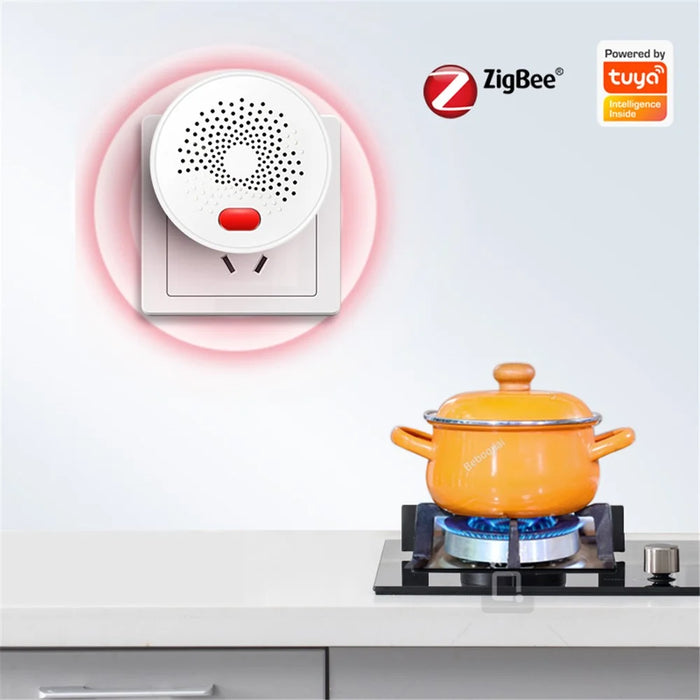 DY-RQ500A Tuya Smart Zigbee Gas Detector Alarm IEEE802.15.4 Combustible Gas Sensor - EU Plug - 4