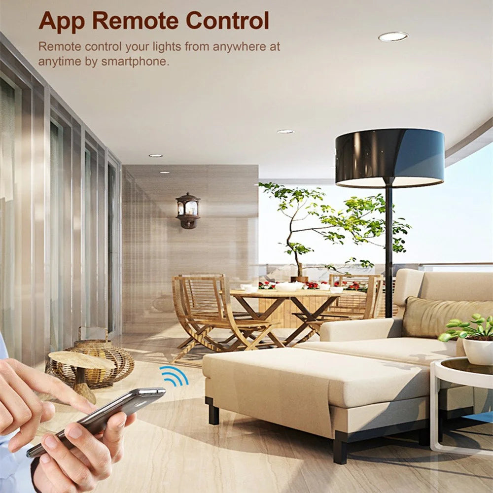 DM01 1 Gang WiFi Smart Light Switch Voice Control Timer Dimmer Module Remote Lighting Controller - 2