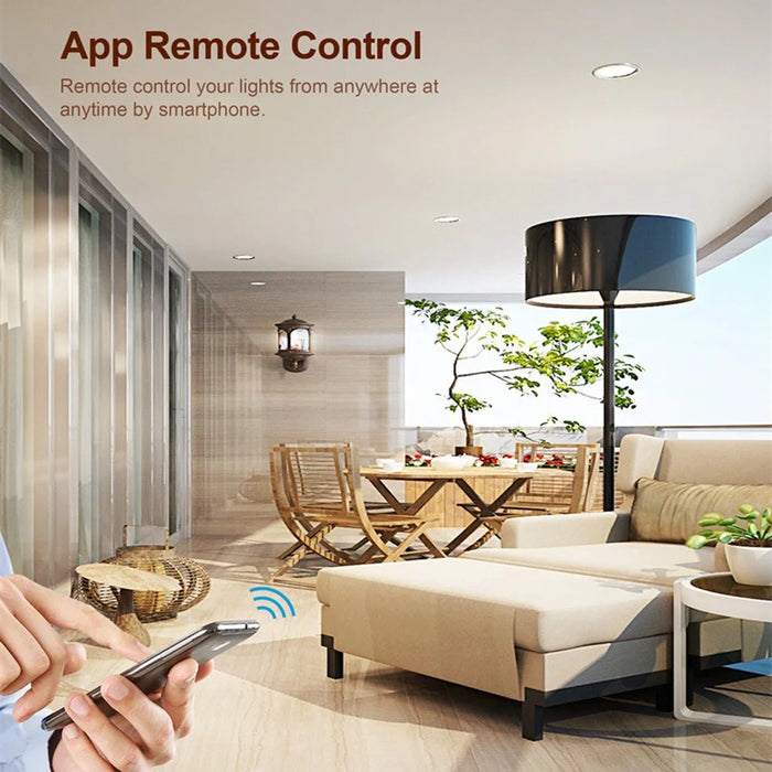 DM01 2 Gang WiFi Smart Light Switch Voice Control Timer Dimmer Module Remote Lighting Controller - 2