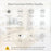 NEO Matter NAS-WR10WM 16A WiFi Smart Plug with Power Meter Smart Control for Apple  /  Google  /  Amazon - EU Plug - 5
