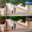 SRIHOME NVS011+IPC059 2MP Two-Way Audio WiFi CCTV Camera 8CH NVR Video Recorder - US Plug - 3
