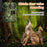 H10 Outdoor 4G Solar Wildlife Camerta 4MP IR Night Vision Animal Detecting Hunting Trail Camera (US Version) - 3