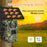 H10 Outdoor 4G Solar Wildlife Camerta 4MP IR Night Vision Animal Detecting Hunting Trail Camera (US Version) - 6
