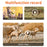 H10 Outdoor 4G Solar Wildlife Camerta 4MP IR Night Vision Animal Detecting Hunting Trail Camera (US Version) - 7