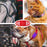 For Apple AirTag Protective Case Dog Cat Collar Tracker Silicone Cover Protection Shell - Purple - 5