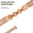 For Xiaomi Smart Band 10 Pro / 9 Pro / 8 Pro / Redmi Watch 6 / 5 / 4 Double-Circle Band Stainless Steel Watch Strap - Rose Gold - 2