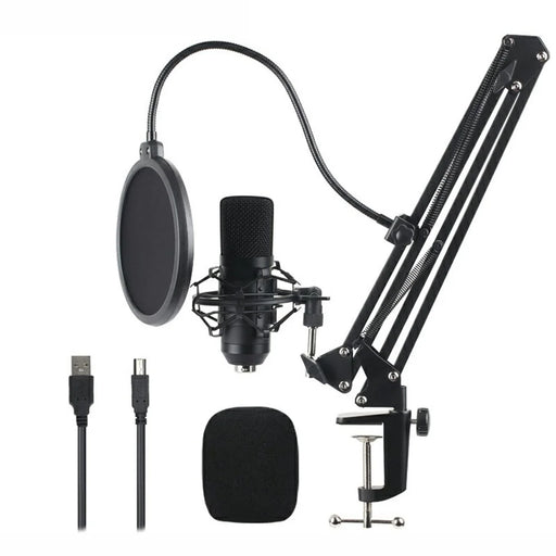 BM700 192KHz/24Bit High Sampling Rate USB Computer Microphone Set - 1