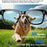 W610 Heycyan App Smart Glasses Photo Video Recording AI Translation 8MP Camera WiFi Bluetooth-Compatible Glasses - Anti Blue Light Lenses - 4