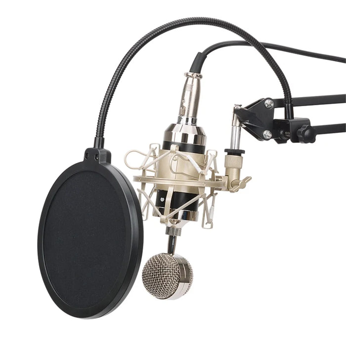 BM-3000 Condenser Microphone Kit Professional Vocal Studio Recording Mic for Streaming Chatting - 2