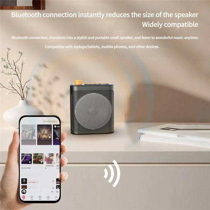 M29 Magnetic Wireless Clip-on Dual Microphone Portable Sound Amplifier for Teaching / Conferences / Performances - Black - 3