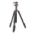 ZOMEI Q173 Camera Tripod 4-Section Retractable Multi-Function Tripod Micro SLR Mobile Phone Live Streaming Stand - 1