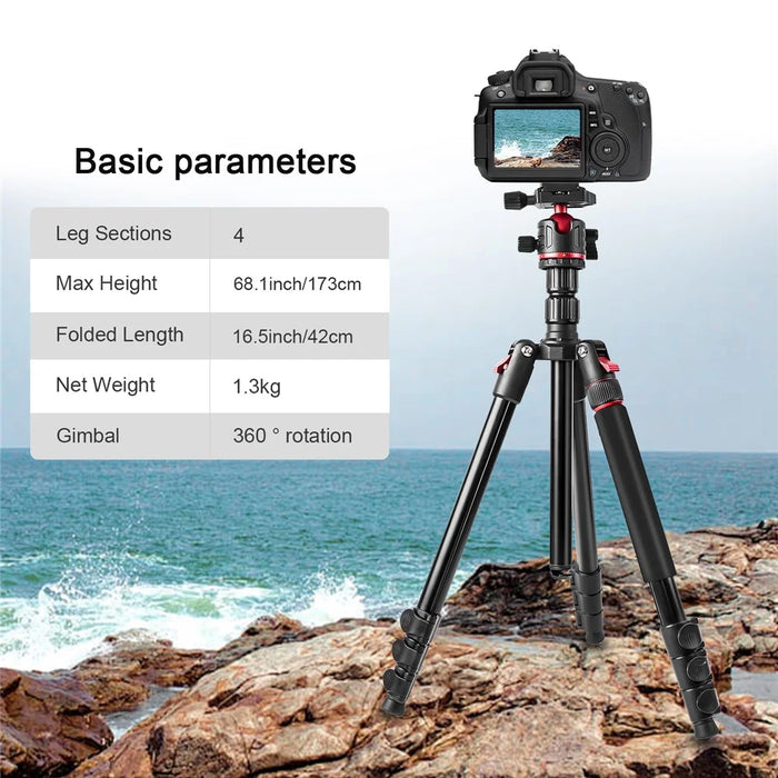ZOMEI Q173 Camera Tripod 4-Section Retractable Multi-Function Tripod Micro SLR Mobile Phone Live Streaming Stand - 2