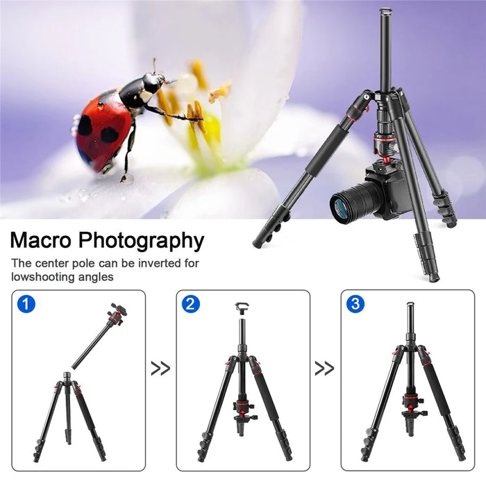 ZOMEI Q173 Camera Tripod 4-Section Retractable Multi-Function Tripod Micro SLR Mobile Phone Live Streaming Stand - 4