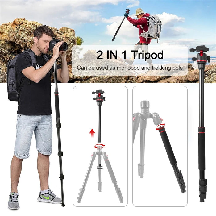 ZOMEI Q173 Camera Tripod 4-Section Retractable Multi-Function Tripod Micro SLR Mobile Phone Live Streaming Stand - 5