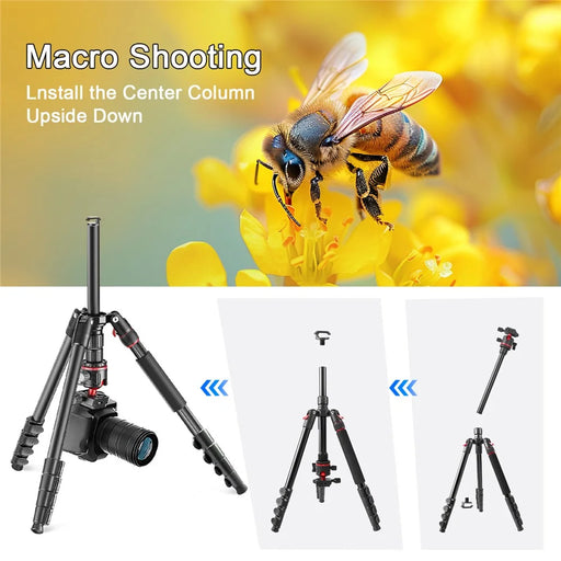 ZOMEI G200 Camera Tripod 2m 5-Section Multi-Function Folding Stand Universal Mobile Phone Live Broadcast Bracket - 2