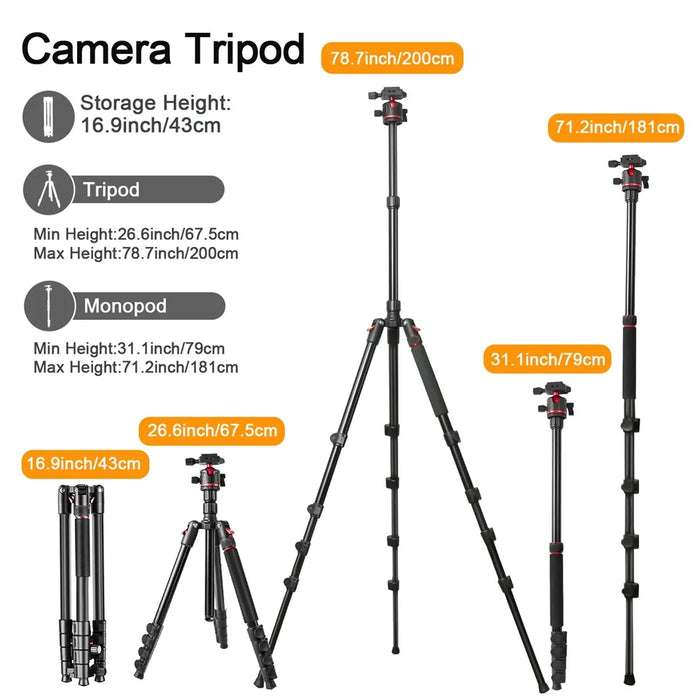 ZOMEI G200 Camera Tripod 2m 5-Section Multi-Function Folding Stand Universal Mobile Phone Live Broadcast Bracket - 3
