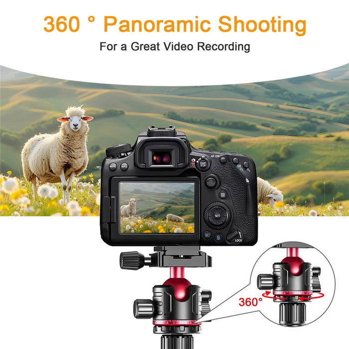 ZOMEI G200 Camera Tripod 2m 5-Section Multi-Function Folding Stand Universal Mobile Phone Live Broadcast Bracket - 6