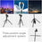 ZOMEI Z668 Photo Camera Tripod 4-Section Aluminum Alloy SLR Camera Floor Stand, Black - 7