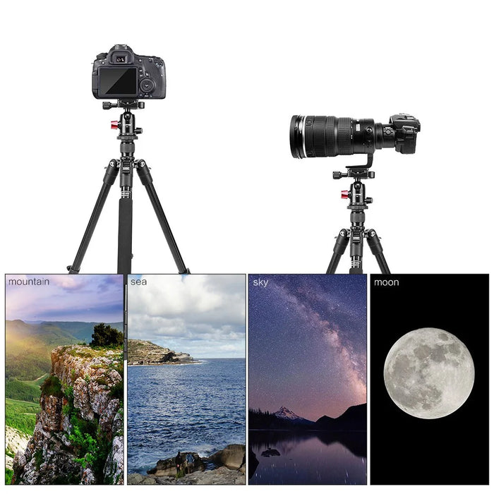 ZOMEI M6 Camera Tripod Mobile Phone Live Broadcast Bracket Aluminum Alloy 4-Section Tripod Stand - 3