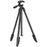 Q162 4-Section Telescopic Tripod Stand with 360 Degrees Swivel Pan Head for DSLR SLR Camera Phone - 1