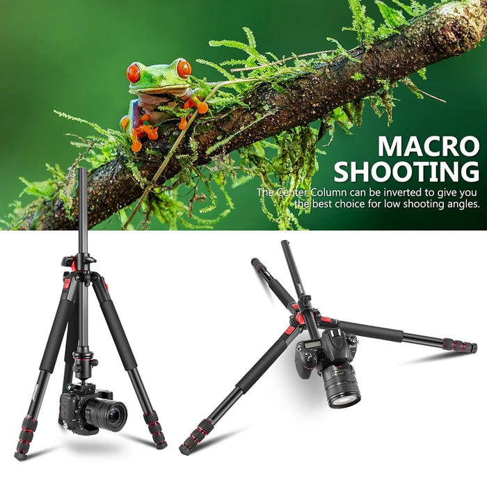 NEEWER N284 184cm Camera Tripod Monopod with Center Column and Ball Head, Max Load: 33lb - 3