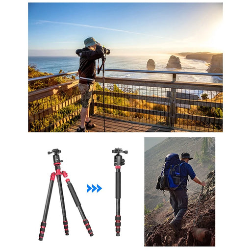 NEEWER N55CR SLR Camera Mobile Phone Live Streaming Monopod Tripod Carbon Fiber Photography Tripod Stand - 2