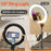XJ36C 10 Inch Ring Light Magnetic Phone Holder Selfie Lamp with Adjustable Stand, Desktop Photography Kit - White - 2