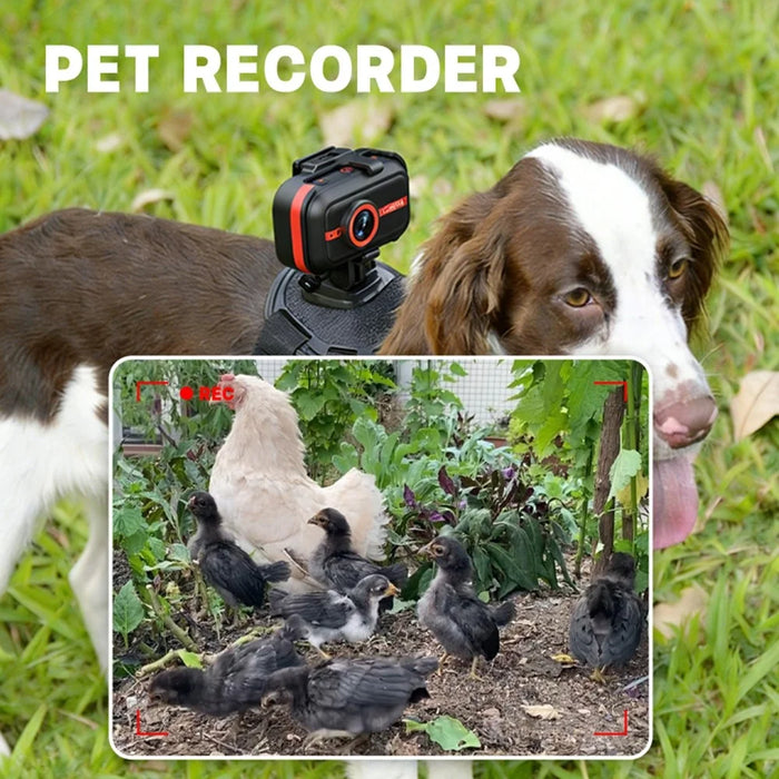 LK2317 4K Action Camera EIS Stabilization Magnetic Pet Cycling Sports Camera with Full Accessories - Black - 2