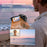 CD-V03 8K Vlogging Camera 270 Degree Flip Screen 16X Digital Zoom WiFi Handheld Camcorder for Travel - Black - 5