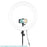 D01S 360 Degree Rotating E-Shape Phone Holder Hot Shoe Mount Adapter for Action Camera - Black - 4