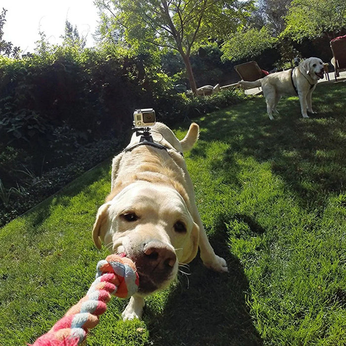 GP197 Action Camera Mount Pet Dog Harness Adjustable Chest Strap - 7