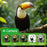 AI-D2 2.4inch AI Smart Voice Camera Instant Print Kids Camera with Learning Assistant - Green - 3