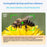 CD-R7 Digital Camera 3.0 Inch IPS Screen Dual Lens 16X Zoom WiFi 8K Video Recorder - Black - 6