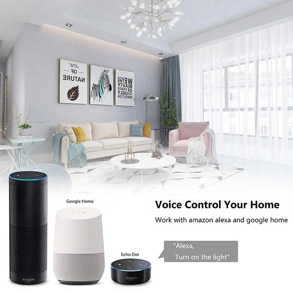 DS-101JL-2 2 Gang WiFi + Bluetooth-compatible Dual Mode APP Voice Control Smart Touch Wall Switch - White - 7