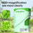 XV-7 Kids Microscope 2 Inch Color Screen High Definition 1000X Microscope - Green - 3