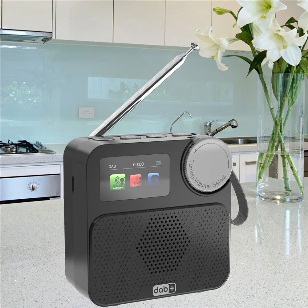 P2D 1.47 Inch Bluetooth-compatible Portable DAB Radio with TF Card MP3 Player - Black - 2