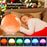 SH-02S Sunrise Sunset Simulation Smart WiFi Wake Up Light App Voice Control Alarm Clock FM Radio Bedside Lamp - US Plug - 4