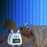 JS2726D Cute Cartoon Elk Kids Children Sleep Training Alarm Clock LED Night Light Digital Clock - Baby Blue - 4