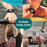 IP67 Waterproof Case for AirTag Bluetooth-compatible Tracker Anti-scratch TPU + PC Locator Protective Cover - Black - 5