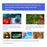 MS03 High Definition Digital Microscope 5-Inch IPS Screen 8000X Magnifying Biological Microscope - 5
