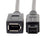 CY FW-012-BK 1394 Cable FireWire 400-to-800 Adapter Cable 6F-9M Cord 20cm - Black - 3