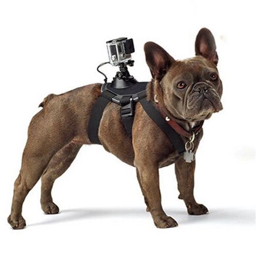 Fetch Dog Harness Chest Strap Belt Mount for GoPro Hero 4/3+/3/2/1 SJ4000 SJ5000 SJ6000 Xiaomi Yi (GP300) - Black - 1