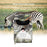 PR-100 12MP Photo-traps Wild Hunting Camera 1080P Trail Hunting Game Camera Wildlife Scouting Camera - 4