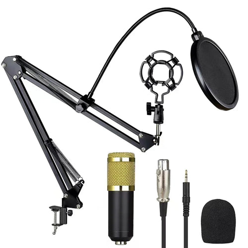 Professional Studio Live Streaming Broadcasting Recording Condenser Microphone Stand Pop Filter Kit - 1