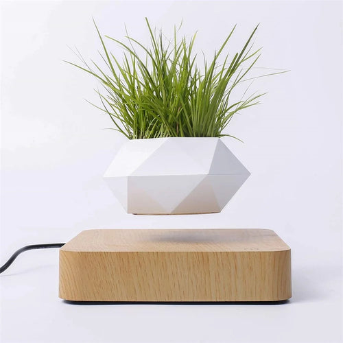 Magnetic Suspension Flower Pot Micro Landscape Gardening Levitating Air Bonsai Pot - Light Brown/EU Plug - 1