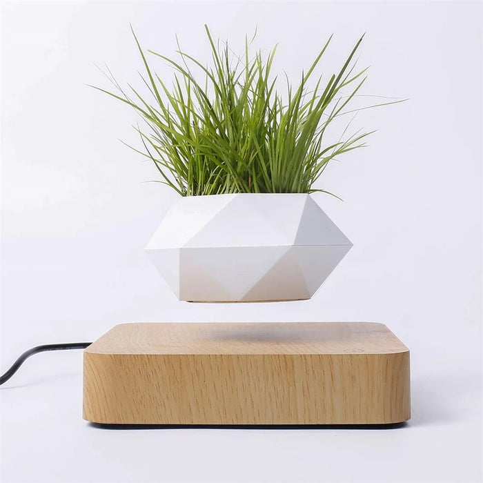 Magnetic Suspension Flower Pot Micro Landscape Gardening Levitating Air Bonsai Pot - Light Brown/EU Plug - 1