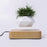 Magnetic Suspension Flower Pot Micro Landscape Gardening Levitating Air Bonsai Pot - Light Brown/EU Plug - 2