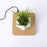 Magnetic Suspension Flower Pot Micro Landscape Gardening Levitating Air Bonsai Pot - Light Brown/EU Plug - 3