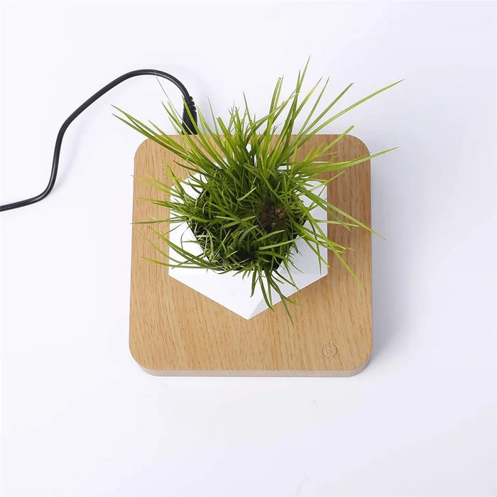 Magnetic Suspension Flower Pot Micro Landscape Gardening Levitating Air Bonsai Pot - Light Brown/EU Plug - 3