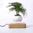 Magnetic Suspension Flower Pot Micro Landscape Gardening Levitating Air Bonsai Pot - Light Brown/EU Plug - 4